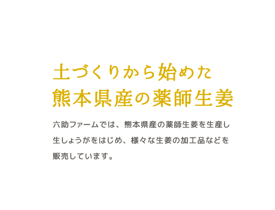 土づくりから始めた熊本県産の薬師生姜六助ファームでは、熊本県産の薬師生姜を生産し生しょうがをはじめ、様々な生姜の加工品などを販売しています。